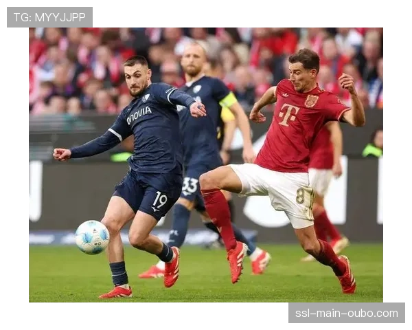 保级关键一役，波鸿主场球迷抗议活动导致比赛中断十分钟